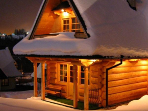 Domek z kominkiem Pod Limbą Zakopane